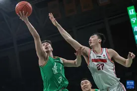 CBA季后赛 | 杨鸣：辽宁两个客场能赢一个就是胜利图片