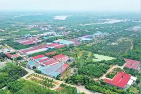 生态美敲开振兴门 ——荆州区钱家湾紫荆片区推进小流域综合治理观察图片