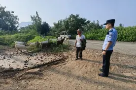 羊群组团“出逃” ，山亭警方无人机十分钟找回图片
