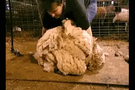 崇明青年，快来领福利！图片