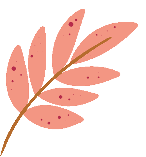 上海Citywalk正当时！市区5星级酒店客房折上折！大闸蟹自助、双人下午茶特惠价！免费住宿福利到