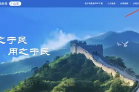 自然人代开数电发票（普通发票）操作指引 （山东省电子税务局网页版）图片