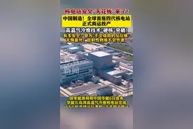 中国制造！全球首座第四代核电站正式商运投产图片