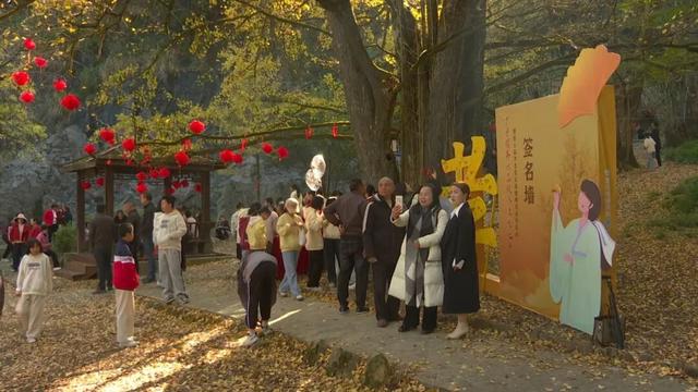 人从众嗨翻全场！带你直击大田广平银杏孝文化节～