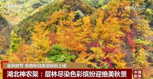 金秋时节各地美景纷纷“上线” 多元业态拓展“秋日经济”新空间