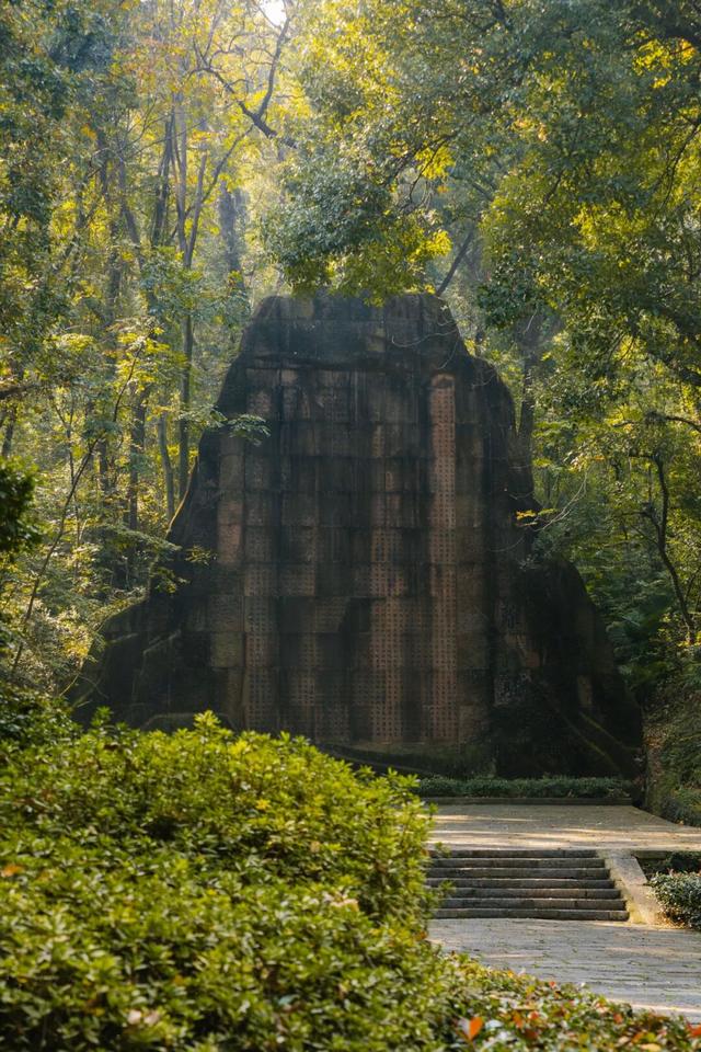 东湖秋日图鉴③｜磨山秋笺：一叶一诗，帧帧藏秋韵