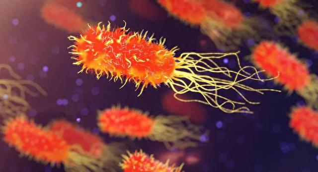 农业实践中塑料制品带来的耐药超级细菌危机威胁着我们的食品供应