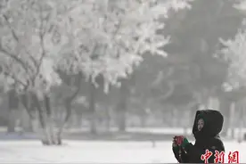 沈阳现雾凇景观图片