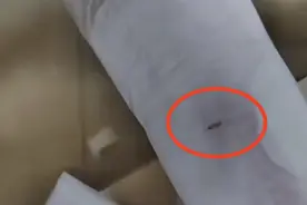 “星座系”卫生巾被曝“一盒一半都有虫”！监管部门称已介入图片