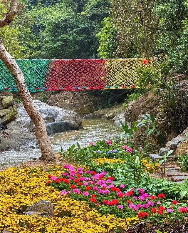 跟着赛事游鹤山！动起来！用运动方式打开鹤山～