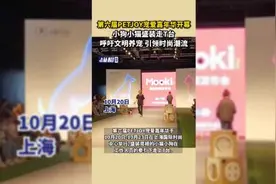 第六届PETJOY宠爱嘉年华开幕，小狗小猫盛装走T台，呼吁文明养宠，引领时尚潮流图片