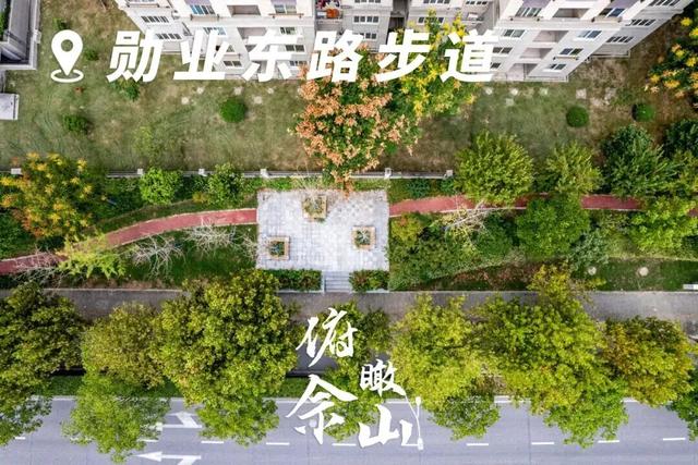 俯瞰佘山，解锁观景新视角
