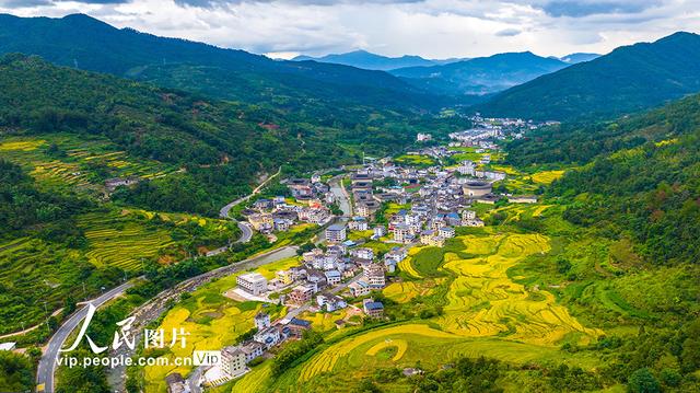 福建龙岩：永定土楼景美如画