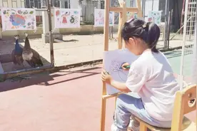 孔雀安家幼儿园，萌娃有了新朋友图片