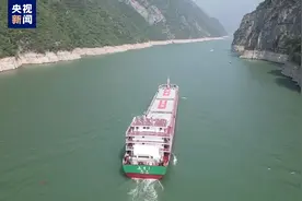 江海直达！首艘万吨级海轮直航重庆 运输时间缩短20天图片