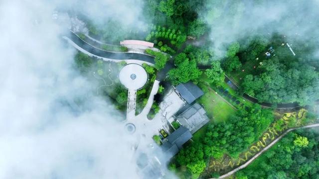 元旦游名山 | 全川TOP8！元旦怎么能不来这座网友疯狂打call的“神仙茶山”？