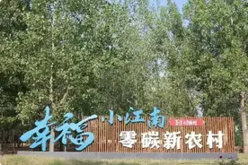 调结构促消纳降电价！河南出台方案拓展源网荷储一体化应用场景图片