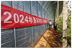 减脂黄瓜、“小糖丸”西瓜…东平梯门镇瓜果丰收季火热进行中图片