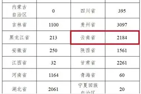 云南设2184个岗位！2025年“特岗计划”启动图片