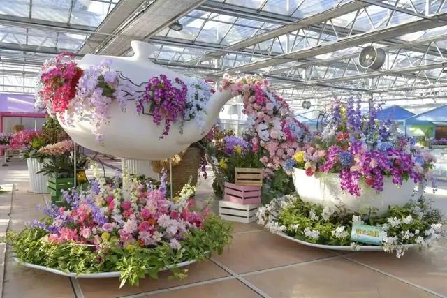 家庭园艺嘉年华｜北京兰花文化嘉年华将于明日启幕