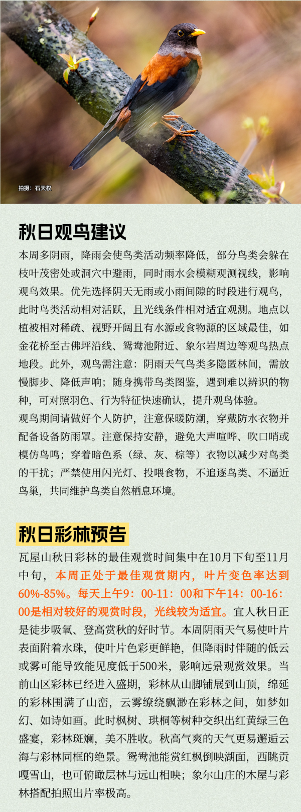 【洪雅县气象局】：瓦屋山景区（11月10日—11月16日）金秋旅游气象周预报