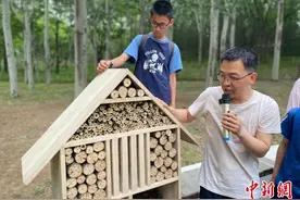 北京已成“鸟天堂” 营造大尺度高品质栖息环境图片