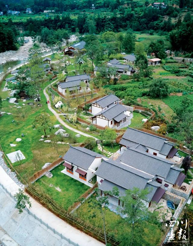 画卷天府·熊猫盛典｜从靠山吃山到养山富山：平武高村乡的生态振兴实践与启示