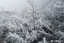 冻冻冻！广东冷到结冰，今晨或为广州今年下半年以来最冷早晨图片