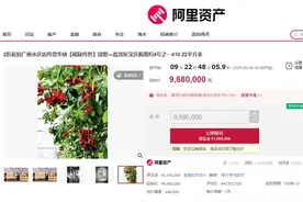 广州永庆坊私宅2折起拍，410㎡别墅起拍价968万元图片