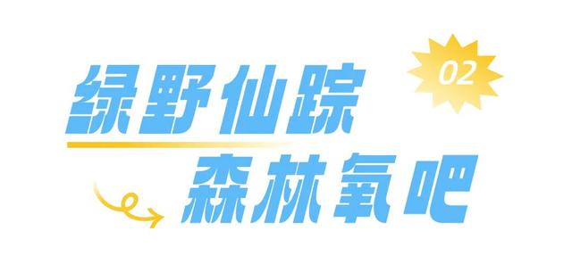 这个周末，“泰”想让你来