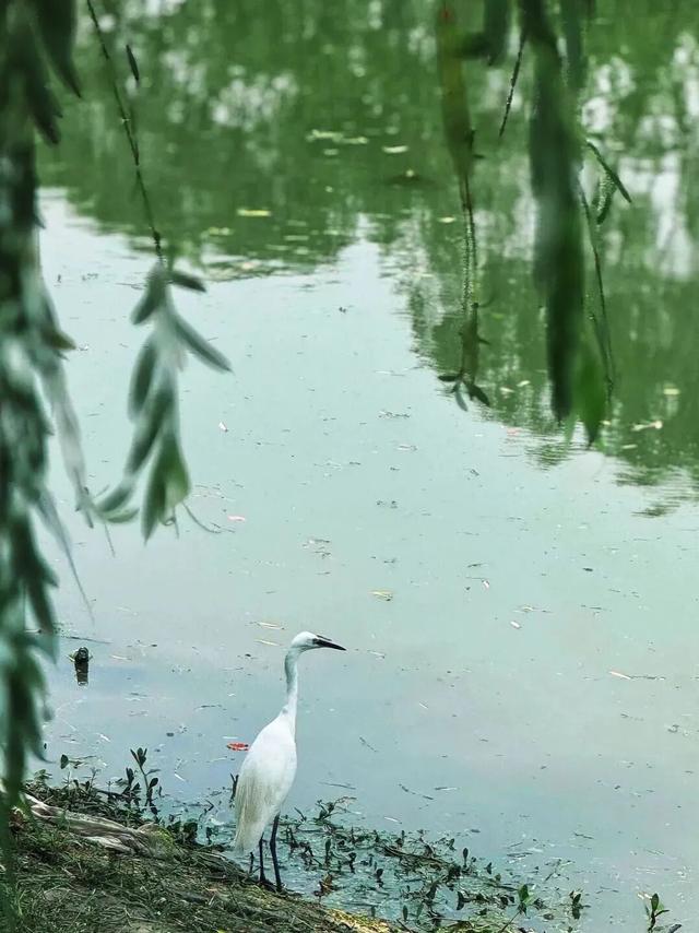 美兰湖的秋天藏着“多巴胺”配色！快来打卡这座湖畔彩色小镇吧