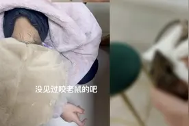 女子宿舍被老鼠咬后直接咬回去，室友：老鼠头上有牙印，就医后打了针视频封面