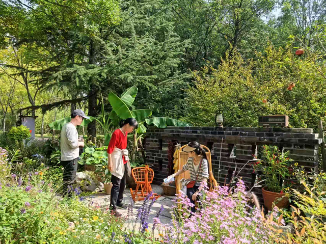 济南植物园“花境展 + ”五大特色活动，晋升国庆假期热门“打卡地”