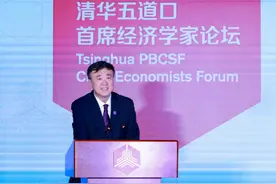 清华大学副校长杨斌：新能源、人工智能正在成为推动经济发展两大核心力量图片