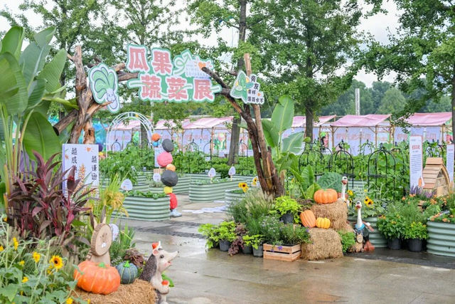 长假活动指南来了！假期来镇海，众多景区等你打卡！