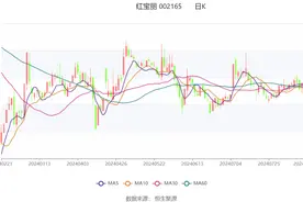 红宝丽：2024年上半年净利润同比增长395.86% 拟10派0.3元图片