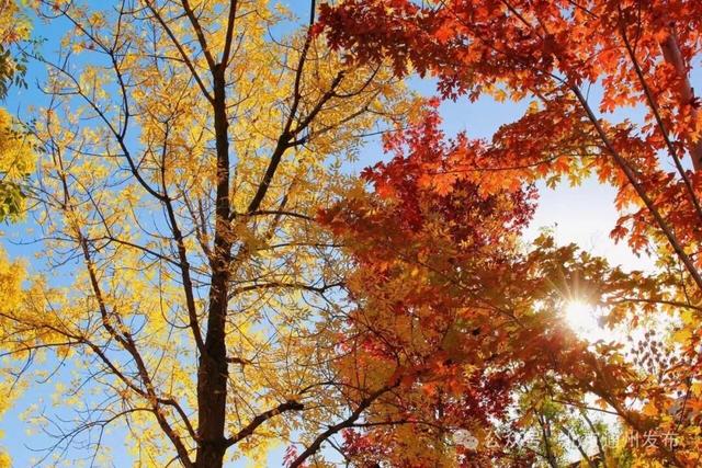 太美了，别眨眼！接下来的副中心将是这种颜色——
