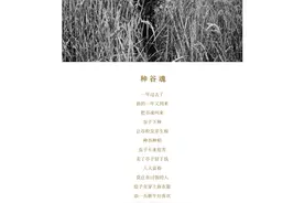 摄影好书｜民族影像志：自由生长的云南布朗山和它的山民图片