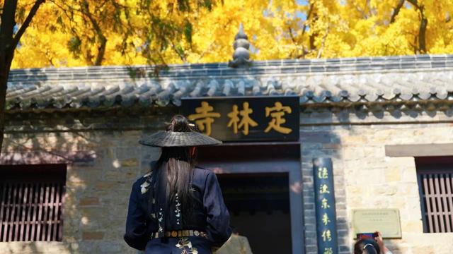 千年莒县银杏树！这一眼惊艳时光，高清大图超治愈