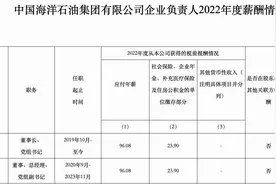 21家能源央企亮出高管“工资条”，谁最高？图片