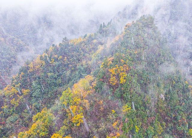 恩施巴东：雪吻秋山云海织锦