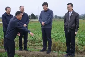 高世文到安义县调研图片