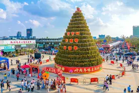 2024年佛山陈村花市五大亮点抢先看图片