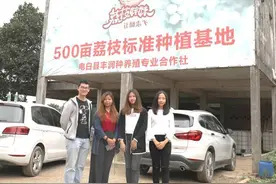 “荔枝妹妹”十一年水果品牌进阶记 | 新农人 兴农记⑧图片