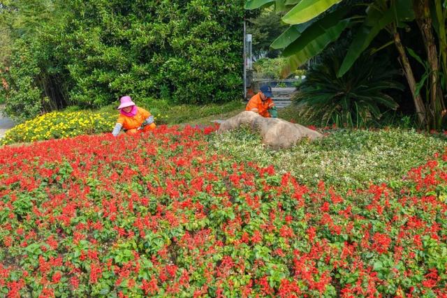 在蜀山，转角遇见美！这些地方已更新→