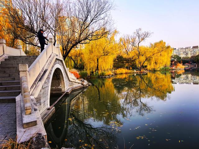 太美了！北京紫竹院如油画般梦幻