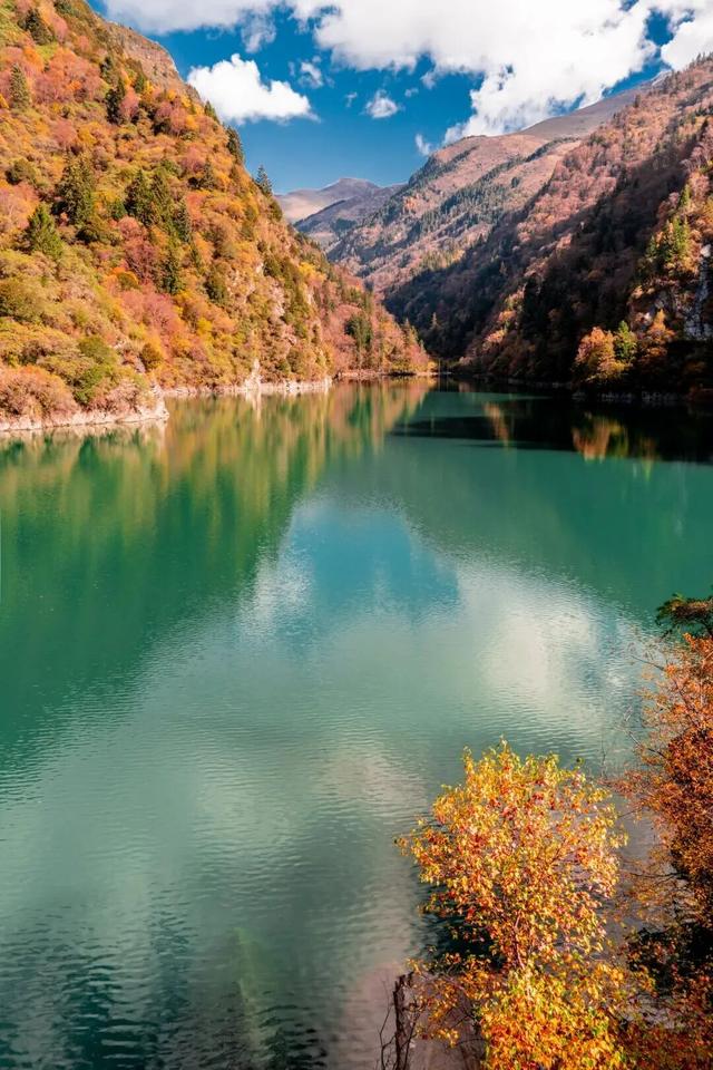 红红红了！红叶最佳观赏期已至！游玩安全记心中→