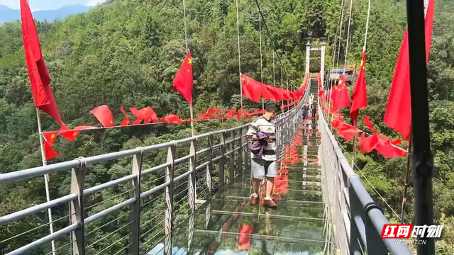 游客赞叹“不虚此行” 九龙江国家森林公园国庆受热捧
