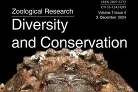 中国华语歌坛谁的粉丝文化素质最高？周杰伦微微一笑：正是在下图片