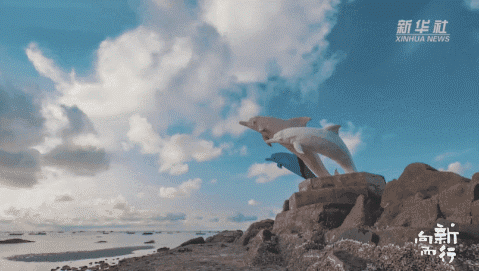 新华社携手董宇辉，走进广西的蔚蓝海岸……